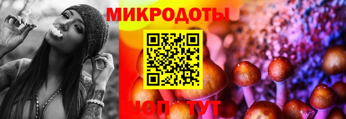 Наро-Фоминск  Галлюциногенные грибы Psilocybine cubensis  Вход с VPN 